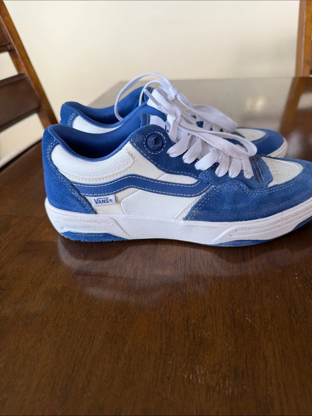Vans Blue and White Skate Sneakers